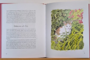 Bok - Kaptenens katt